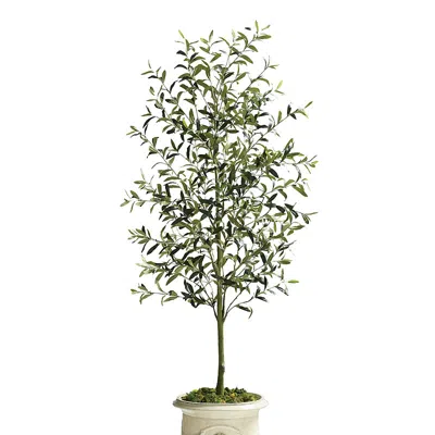 Frontgate Indoor/outdoor Olive Tree