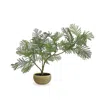 Frontgate Indoor/outdoor Tabletop Fern