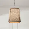 Frontgate Iris Pendant