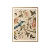 Frontgate Kavala Vintage Chintz Giclee