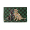 Frontgate Labs & Lights Door Mat In Green