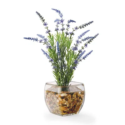 Frontgate Lavender In Bevel Vase