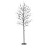 Frontgate Led Black Twig Tree