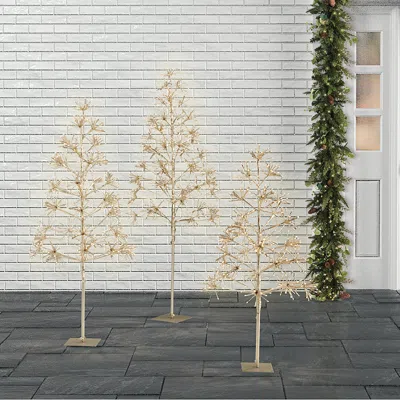 Frontgate Led Gold Twinkle Trees