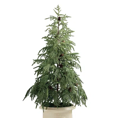 Frontgate Led Norfolk Pine 5 Ft Potted Tree