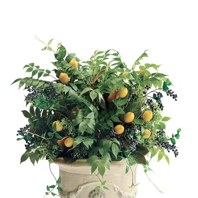 Frontgate Lemon Grove Urn Filler