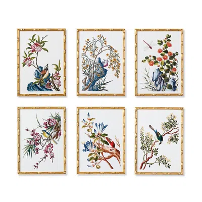 Frontgate New York Botanical Garden Buchoz Botanical Prints