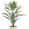 Frontgate Outdoor Areca Palm Tree