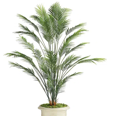 Frontgate Outdoor Areca Palm Tree In White