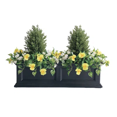Frontgate Outdoor Balsam Cypress Floral Window Box Filler In Yellow