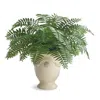 Frontgate Outdoor Boston Fern