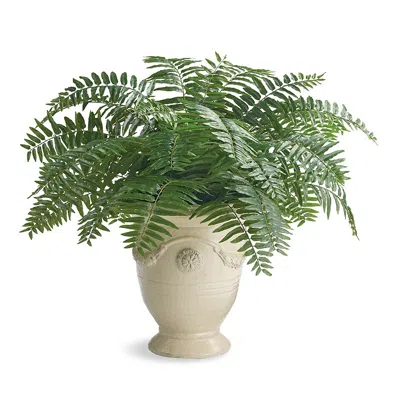 Frontgate Outdoor Boston Fern In White