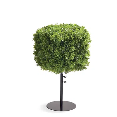 Frontgate Outdoor Boxwood Cube Topiaries In White