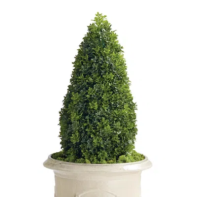 Frontgate Outdoor Boxwood Pear Topiary In Pink