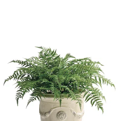 Frontgate Outdoor Fern Urn Filler