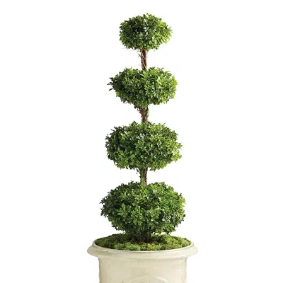 Frontgate Outdoor Four Tier Boxwood Disc Topiary In White