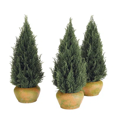 Frontgate Outdoor Potted Cypress Tabletop Trees, Set Of Three In Green
