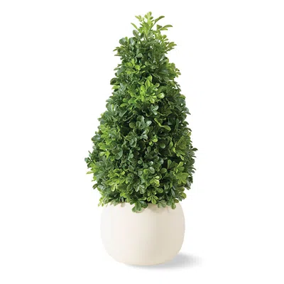 Frontgate Outdoor Tabletop Boxwood Cone In White
