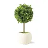 FRONTGATE OUTDOOR TABLETOP BOXWOOD TOPIARY