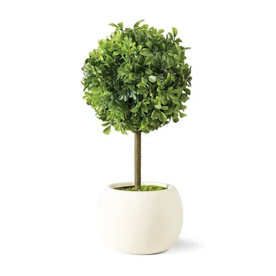 Frontgate Outdoor Tabletop Boxwood Topiary In White