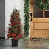 Frontgate Radiant Rouge Pathway Tree