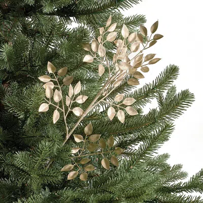 Frontgate Set Of 6 Ruscus Leaf Stems In Green