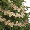 Frontgate Set Of 2 Beaded Ginkgo Leaf 3 Ft Garlands