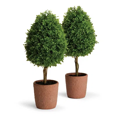 Frontgate Set Of 2 Boxwood Tabletop Cone Topiaries