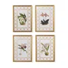 Frontgate Set Of 4 New York Botanical Garden Orchid Prints
