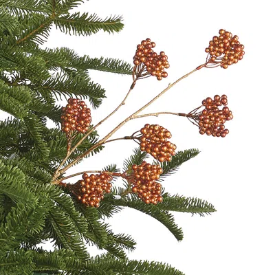 Frontgate Set Of 6 Cluster Berry Stem In Green