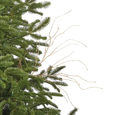 Frontgate Set Of 6 Faux Twig Stems In Green