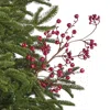 Frontgate Set Of 6 Glitter Berry Stems In Red