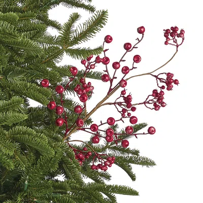 Frontgate Set Of 6 Glitter Berry Stems In Red