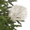 Frontgate Set Of 6 Glitter Coral Stems In White