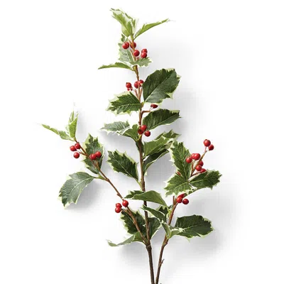Frontgate Set Of 6 Holly Leaf Berry Stem