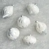 Frontgate Set Of 6 Icy Enchantment Ornament Collection