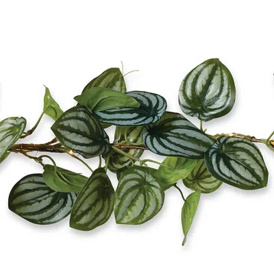 Frontgate Silver Frost Peperomia Lighted Garland In Green