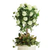 Frontgate Snowball Hydrangea Topiary