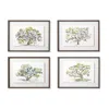 Frontgate Spanish Moss Giclee Prints