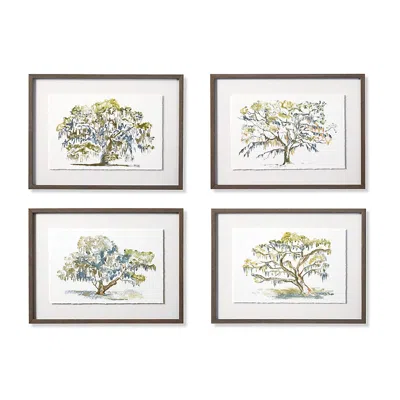 Frontgate Spanish Moss Giclee Prints