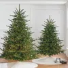 Frontgate Starry White Spruce Tree