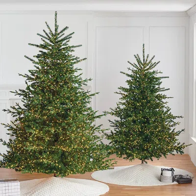 Frontgate Starry White Spruce Tree In Green
