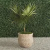Frontgate Tiana Terracotta Planter