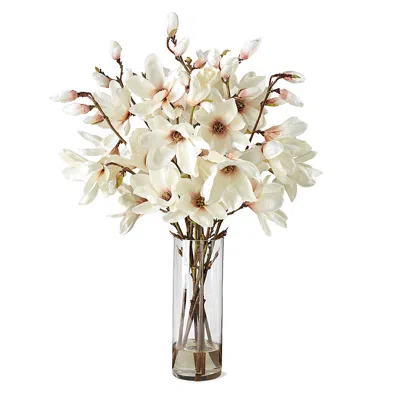 Frontgate Tree Magnolia In Vase In White