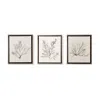 Frontgate Variegated Coral Giclee Prints