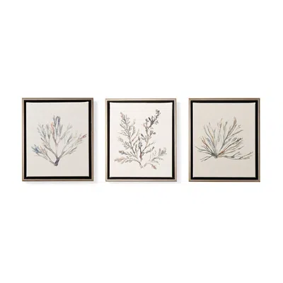 Frontgate Variegated Coral Giclee Prints