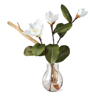 Frontgate White Magnolias & Ghostwood In Light Bulb Vase
