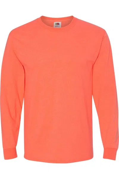 Fruit Of The Loom Hd Cotton Long Sleeve T-shirt In Multi