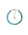 Fry Powers Turquoise + Malachite Anklet In Turquoise/malachite