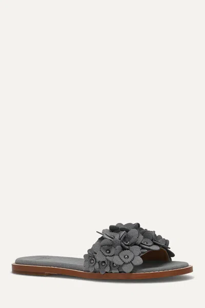 Frye And Co Bucky Flower Slide In Blue